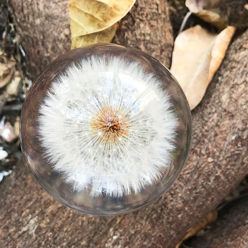 J.Y.R® Dandelion Crystal Ball