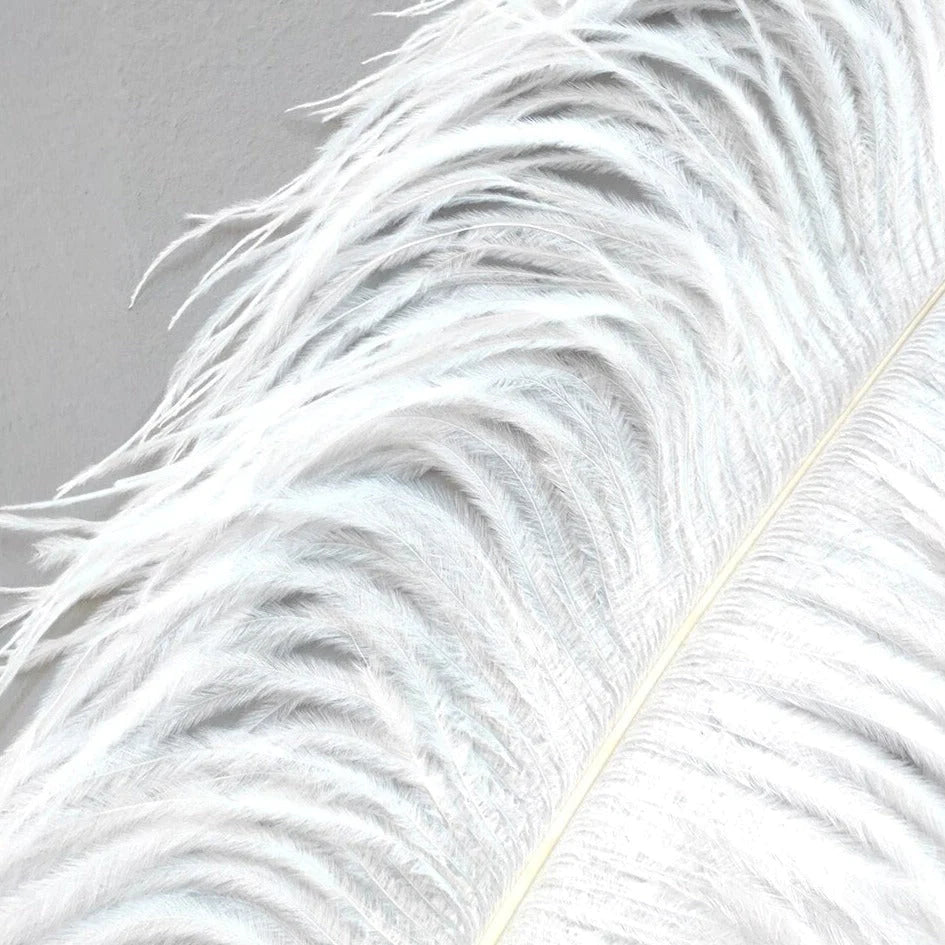 J.Y.R® Ostrich Feather Lamp